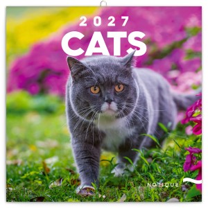 Lemeznapt�r Cats 2027, 30 � 30 cm