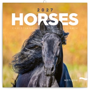 Lemeznapt�r Horses ? Christiane Slawik 2027, 30 � 30 cm