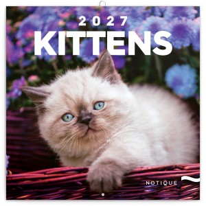 Lemeznapt�r Kittens 2027, 30 � 30 cm