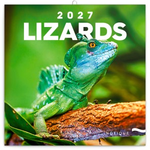 Lemeznapt�r Lizards 2027, 30 � 30 cm