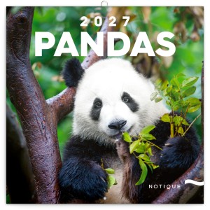 Lemeznapt�r Pandas 2027, 30 � 30 cm